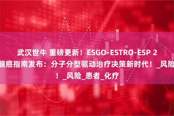 武汉世牛 重磅更新！ESGO-ESTRO-ESP 2025子宫内膜癌指南发布：分子分型驱动治疗决策新时代！_风险_患者_化疗