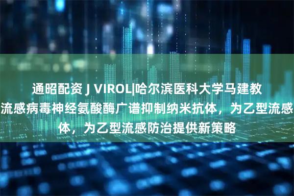 通昭配资 J VIROL|哈尔滨医科大学马建教授团队研发乙型流感病毒神经氨酸酶广谱抑制纳米抗体，为乙型流感防治提供新策略