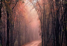 股票配资软件:国内平台配资-英伟达接近达成协议 在OpenAI最新一轮融资中投资200亿美元